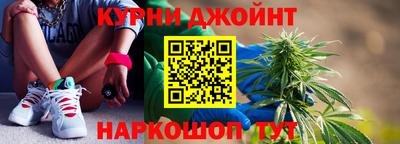 молекула духа Будённовск