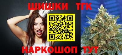 молекула духа Будённовск