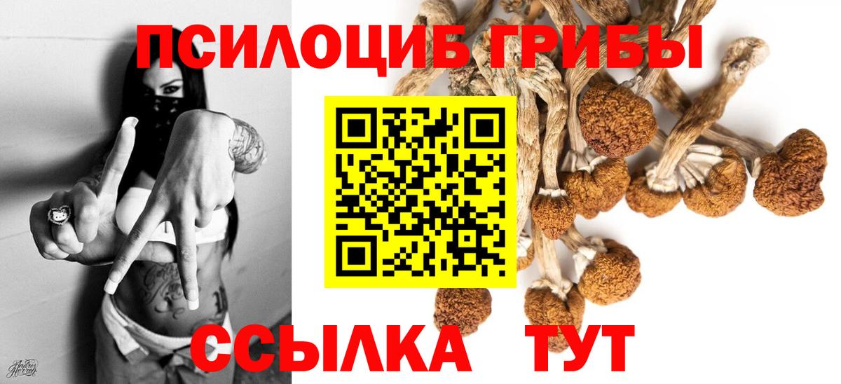 Галлюциногенные грибы прущие грибы Ухта