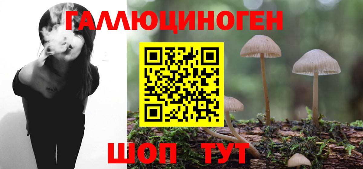 Псилоцибиновые грибы GOLDEN TEACHER  Вход с VPN  Ухта 